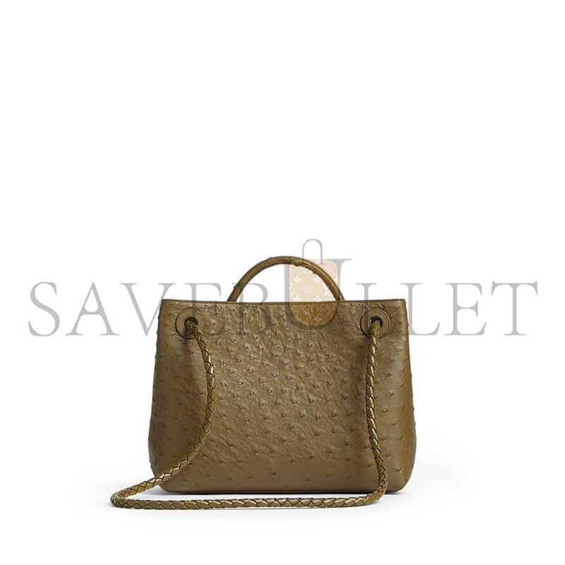BOTTEGA VENETA SMALL ANDIAMO 805231V3RQ22862 (25*20*10cm)